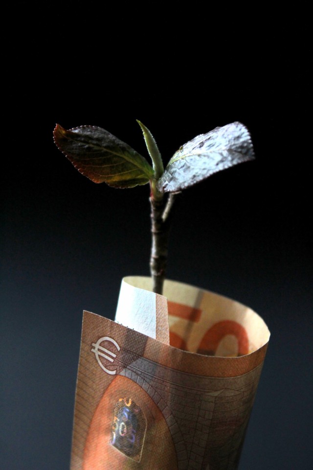 Business Investment